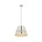 Z-Lite Maddox 1 Light Chandelier, Polished Nickel & Polished Nickel 6013-18PN - alternate 3